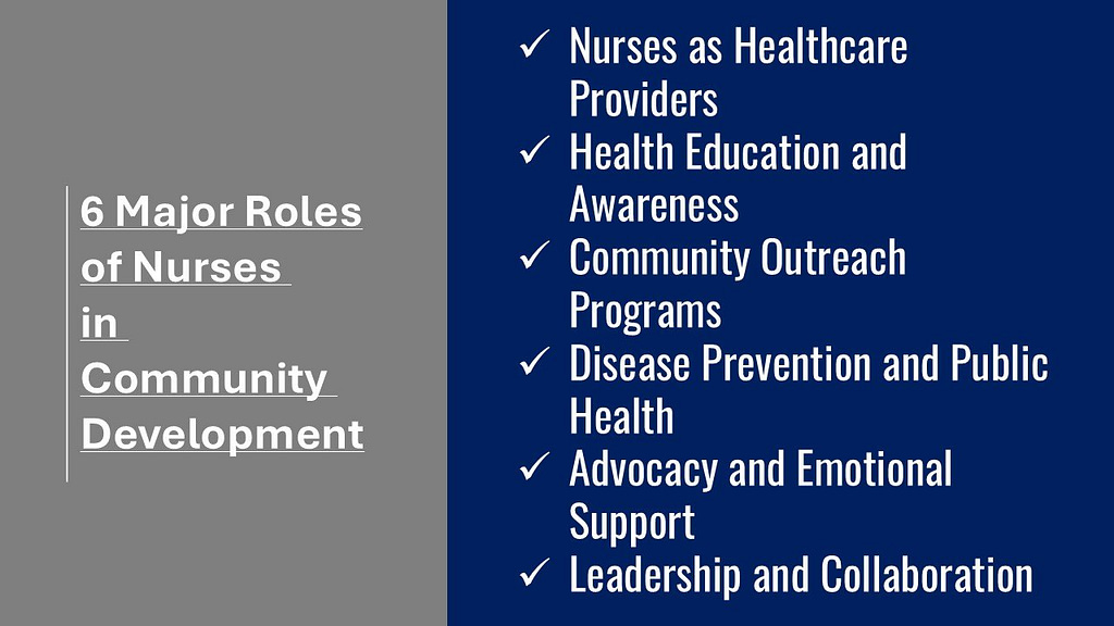 6 Major Roles of Nurses in Community Development